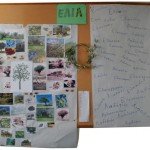 2011-2012-elia01